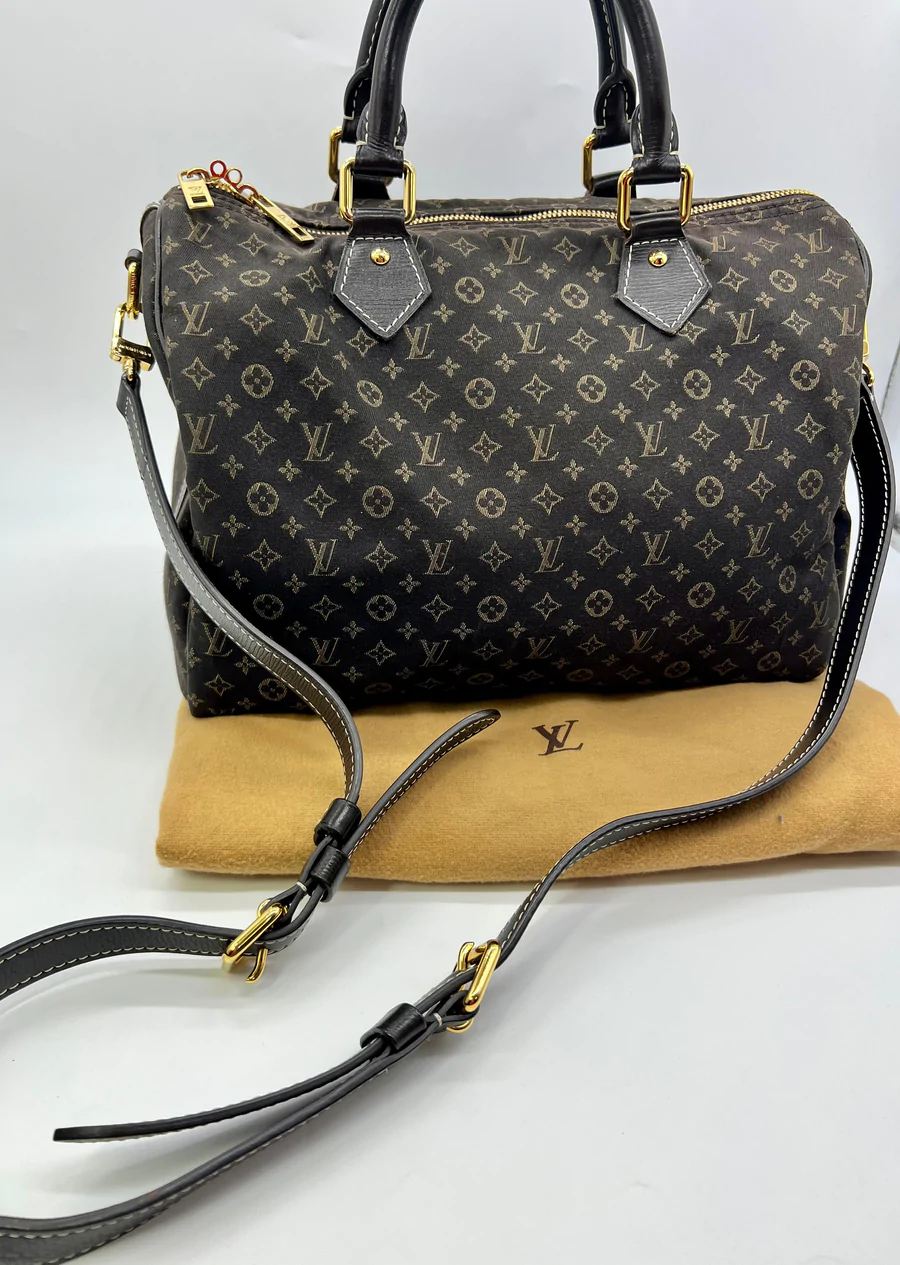 Louis Vuitton Lin Speedy Bandolier 30 for Sale in Raleigh, NC - OfferUp